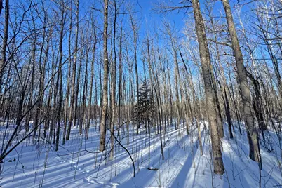 0000 County Highway 77, Tower, MN 55790 - Photo 47