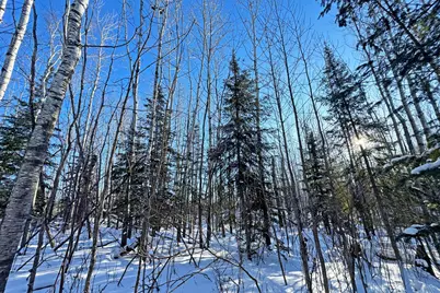 0000 County Highway 77, Tower, MN 55790 - Photo 29