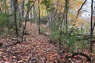 6546 255th St, Wyoming, MN 55092 - Photo 49