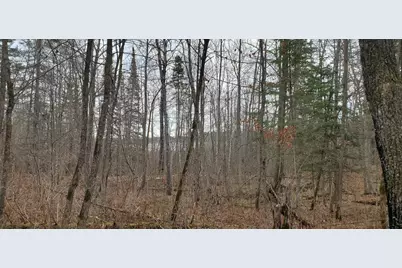 Tbd - Parcel A Ticonderoga Trail, Hackensack, MN 56452 - Photo 5