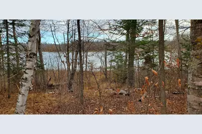 Tbd - Tract 3 Ticonderoga Trail, Hackensack, MN 56425 - Photo 7