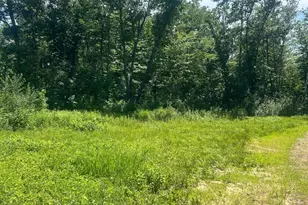 27536 Norway Trail, Randall, MN 56475 - Photo 1