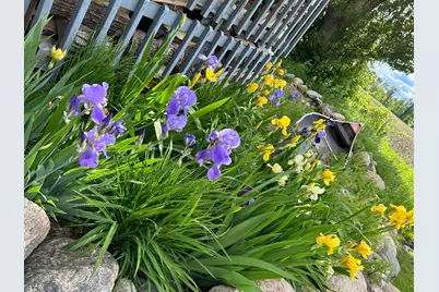 7005 County Road 82 SE, Alexandria, MN 56308 - Photo 5