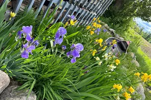 7005 County Rd 82 SE, Alexandria, MN 56308 - Photo 5