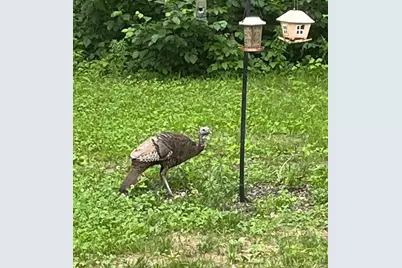 33798 Twin Oaks Trail W, Motley, MN 56466 - Photo 45