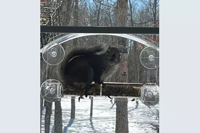 33798 Twin Oaks Trail W, Motley, MN 56466 - Photo 45