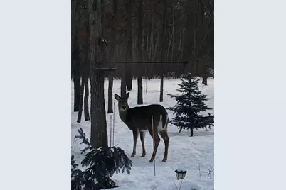 33798 Twin Oaks Trail W, Motley, MN 56466 - Photo 47