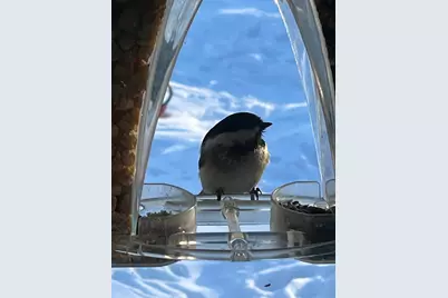 33798 Twin Oaks Trail W, Motley, MN 56466 - Photo 41