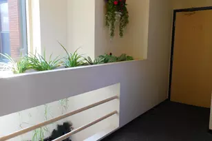 505 Selby Ave, Saint Paul, MN 55102 - Photo 23