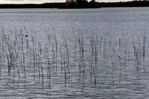 28615 Hwy 89, Bemidji, MN 56601 - Photo 37