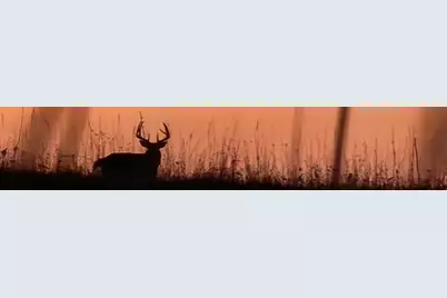 Tbd Sayles Road, Houston, MN 55943 - Photo 41