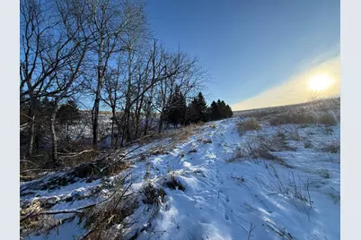 Tbd Sayles Road, Houston, MN 55943 - Photo 27