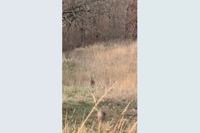 Tbd Sayles Road, Houston, MN 55943 - Photo 43