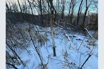 Tbd Sayles Road, Houston, MN 55943 - Photo 23