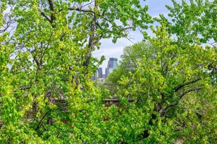 1014 Mt Curve Ave, Minneapolis, MN 55403 - Photo 43