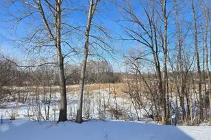 20688 Enfield Ave N, Forest Lake, MN 55025 - Photo 5