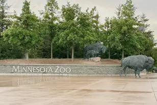 13375 Applewood Trl, Rosemount, MN 55068 - Photo 47