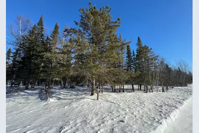 28390 Hornet Road NE, Blackduck, MN 56630 - Photo 5