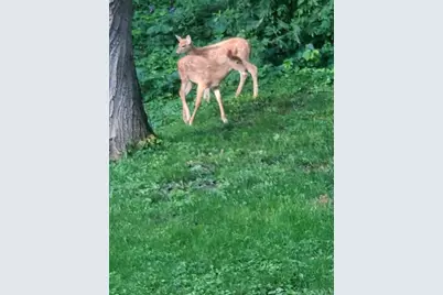 128 E Walnut Street, Glenwood City, WI 54013 - Photo 57