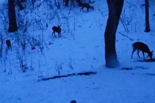 128 E Walnut St, Glenwood City, WI 54013 - Photo 59