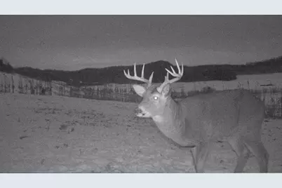 S849 County Road F, Nelson, WI 54756 - Photo 53