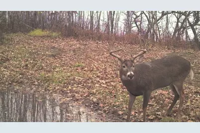 S849 County Road F, Nelson, WI 54756 - Photo 49