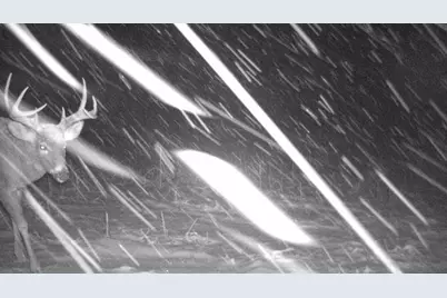 S849 County Road F, Nelson, WI 54756 - Photo 105