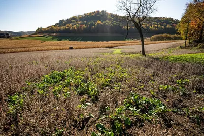 S849 County Road F, Nelson, WI 54756 - Photo 27