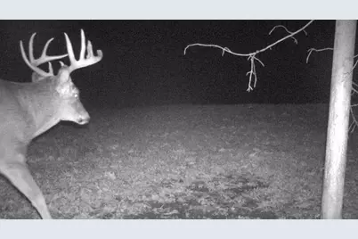 S849 County Road F, Nelson, WI 54756 - Photo 23