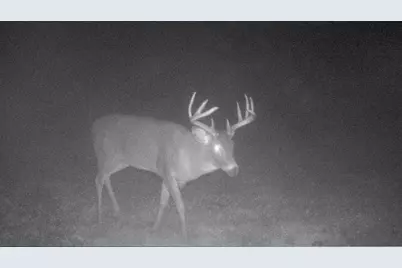 S849 County Road F, Nelson, WI 54756 - Photo 9