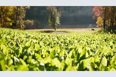 S849 County Road F, Nelson, WI 54756 - Photo 25