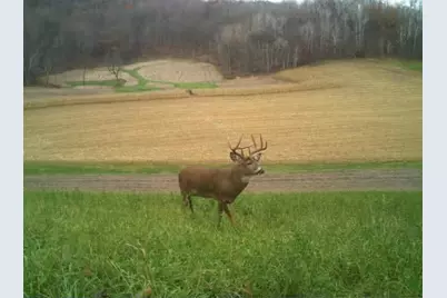 S849 County Road F, Nelson, WI 54756 - Photo 57
