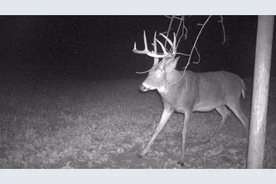 S849 County Road F, Nelson, WI 54756 - Photo 113