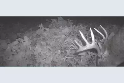 S849 County Road F, Nelson, WI 54756 - Photo 107