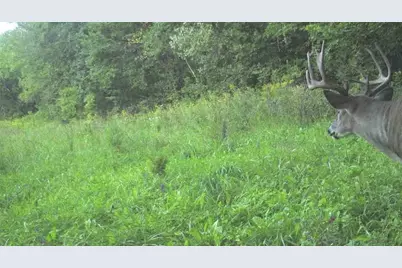 S849 County Road F, Nelson, WI 54756 - Photo 13