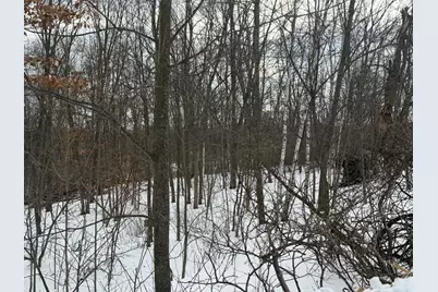 Tbd 180th Avenue, Balsam Lake, WI 54810 - Photo 1