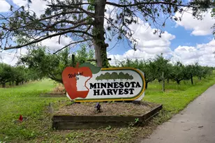 1327 Highland Ln, Jordan, MN 55352 - Photo 9