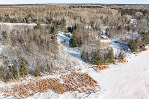 49091 Co Rd 134, Talmoon, MN 56637 - Photo 49