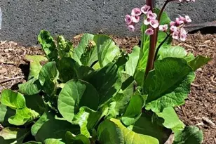 200 S Sheppard St, Kellogg, MN 55945 - Photo 39