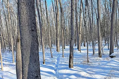 0000 Fectos Road, Tower, MN 55790 - Photo 47