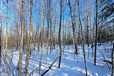 0000 Fectos Road, Tower, MN 55790 - Photo 45