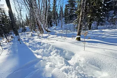 0000 Fectos Road, Tower, MN 55790 - Photo 25