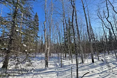 0012 Fectos Road, Tower, MN 55790 - Photo 41