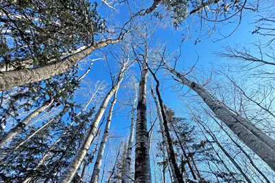 0012 Fectos Road, Tower, MN 55790 - Photo 33