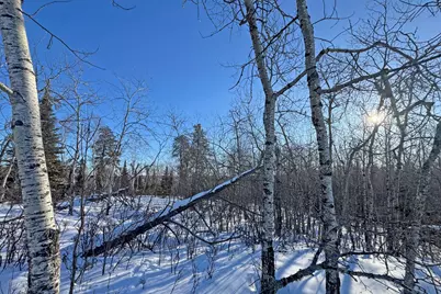 0012 Fectos Road, Tower, MN 55790 - Photo 27