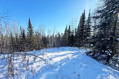 0012 Fectos Road, Tower, MN 55790 - Photo 43