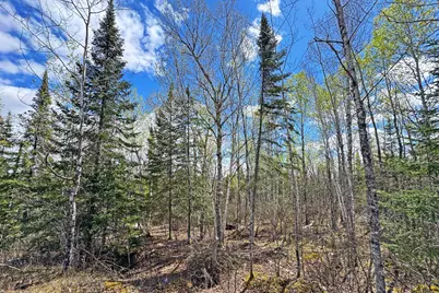 0012 Fectos Road, Tower, MN 55790 - Photo 45