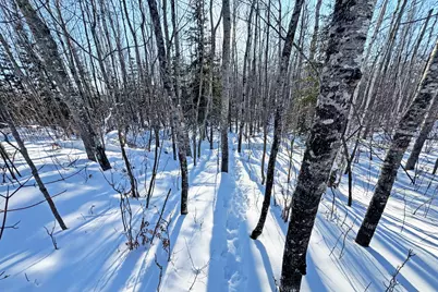 0012 Fectos Road, Tower, MN 55790 - Photo 31