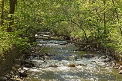 4217 27th Avenue S, Minneapolis, MN 55406 - Photo 99