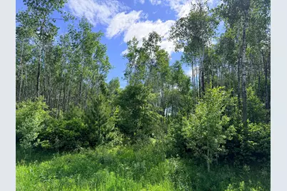 Tbd Brush Lake Lane, Park Rapids, MN 56470 - Photo 11